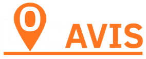 locavis.pro